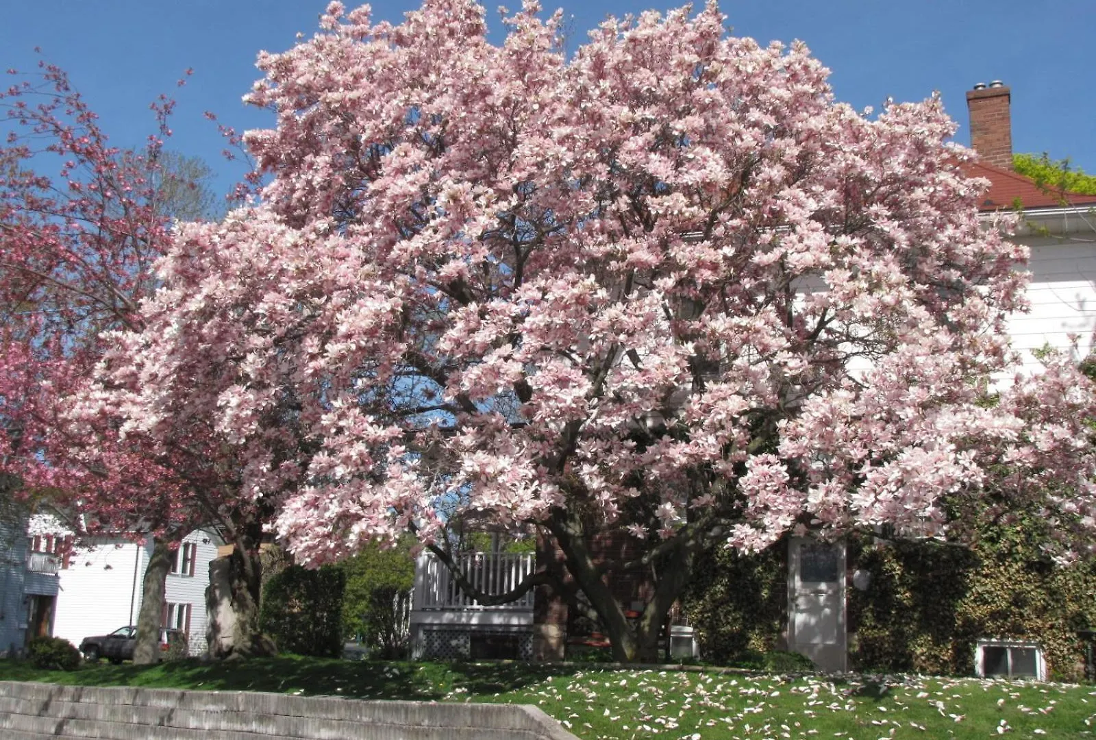 Strathaird Bed And Breakfast Bed & Breakfast Niagara Falls
