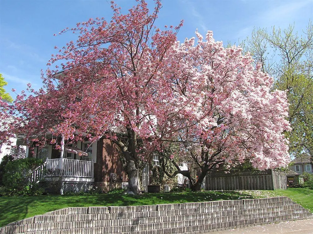 Strathaird Bed And Breakfast Niagara Falls